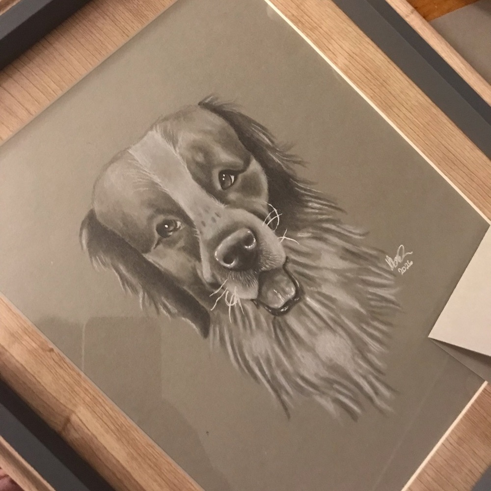 Custom Pet Portrait